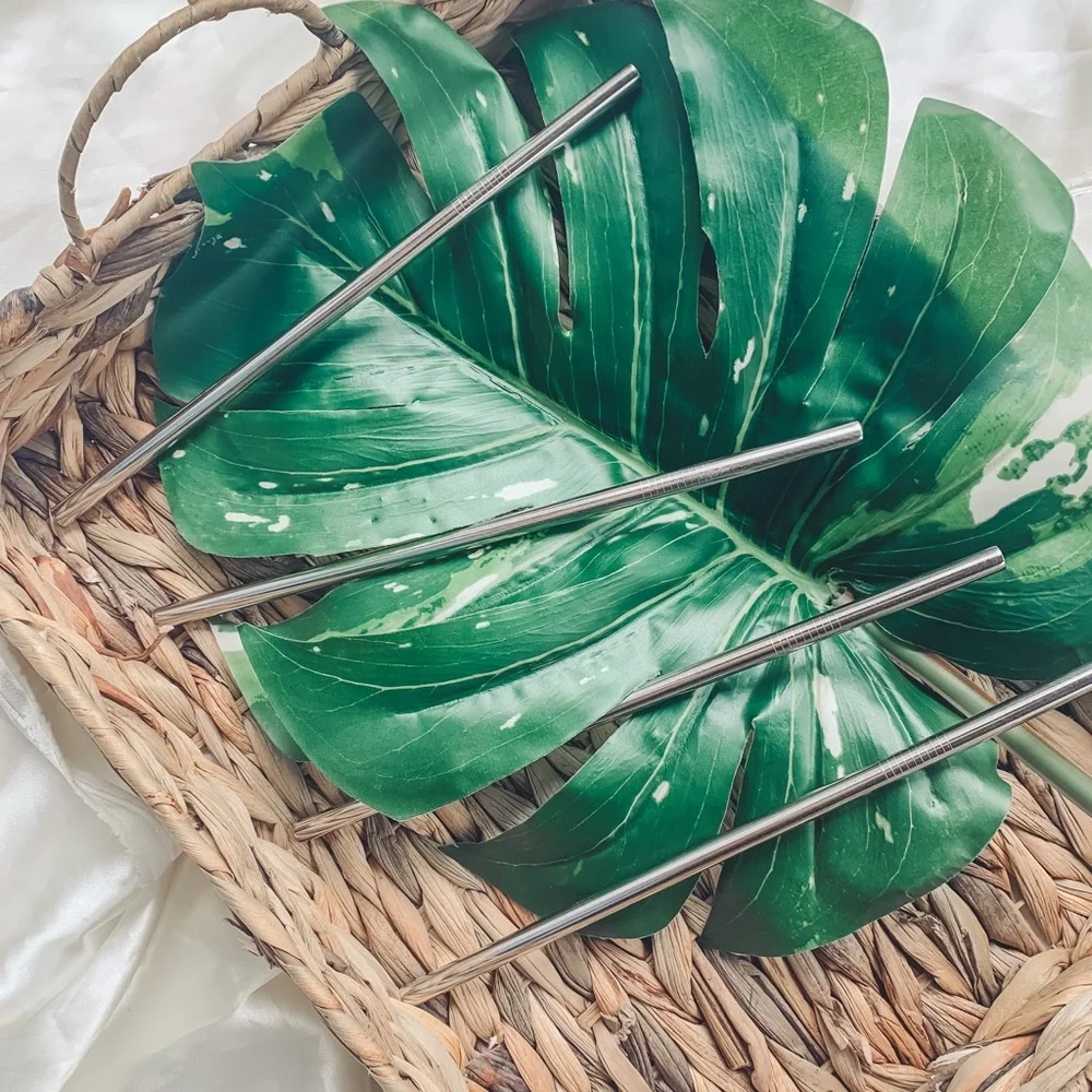 Stainless Steel Reusable Straw